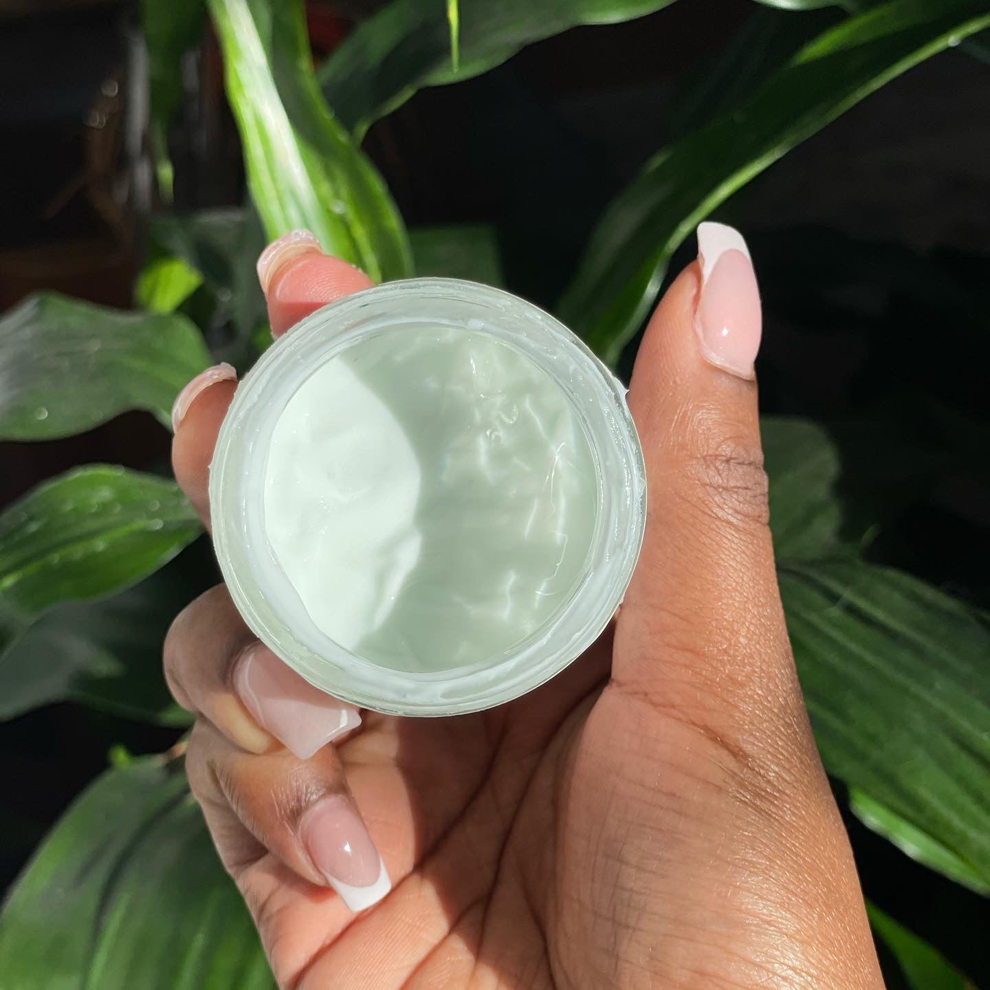 Aloe Vera Skin Care Bundle